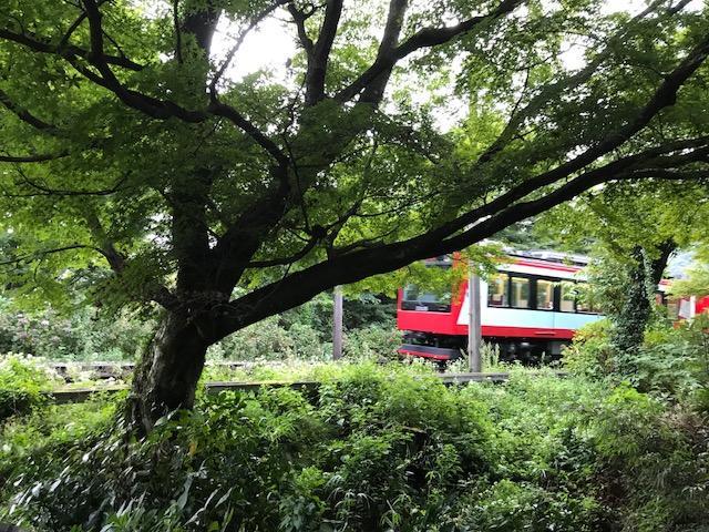 Umimoto Hotel Hakone Buitenkant foto
