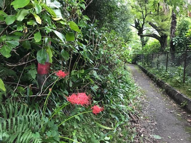 Umimoto Hotel Hakone Buitenkant foto