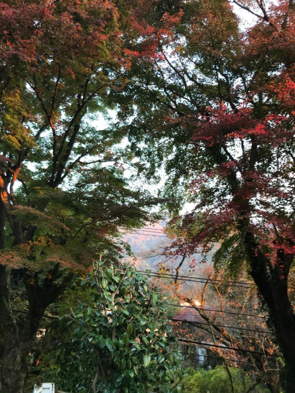 Umimoto Hotel Hakone Buitenkant foto