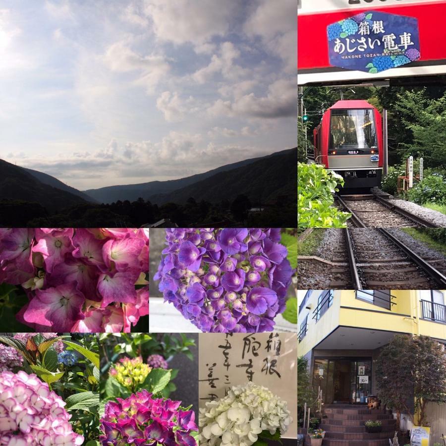 Umimoto Hotel Hakone Buitenkant foto